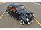 Thumbnail Photo 48 for 1956 Volkswagen Beetle
